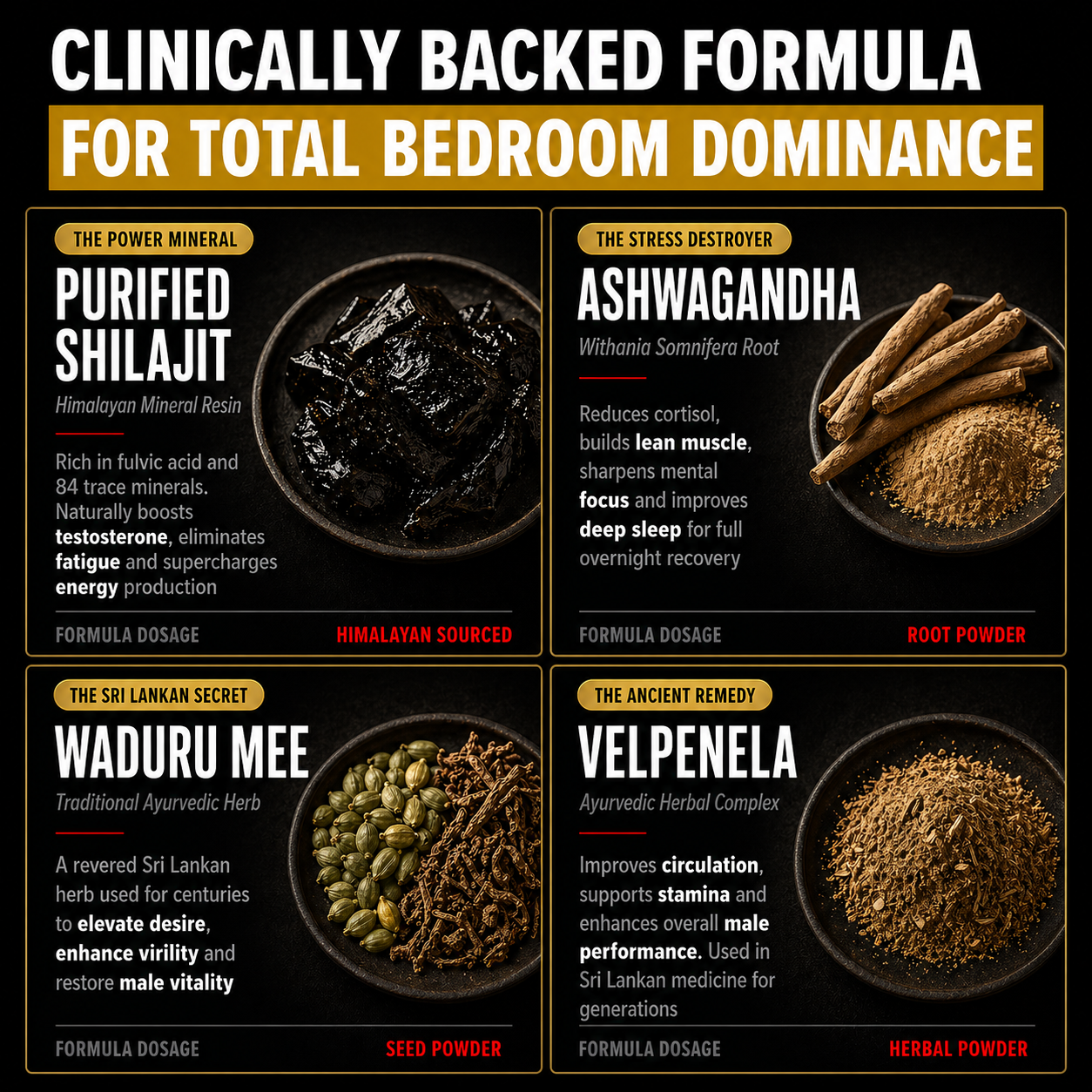 Rawana Roots™ Ashwagandha + Shilajit Capsules